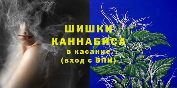 крисы Зеленодольск