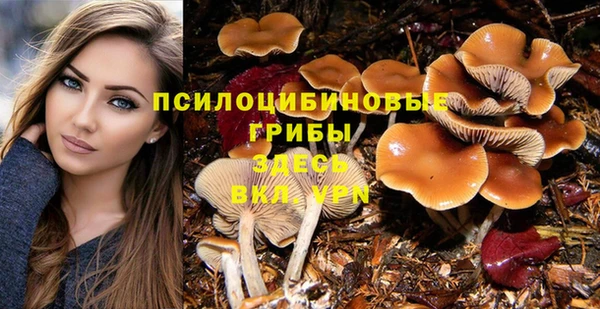 крисы Зеленодольск