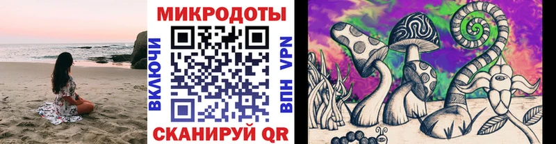 Галлюциногенные грибы Psilocybine cubensis  что такое   Ачинск 