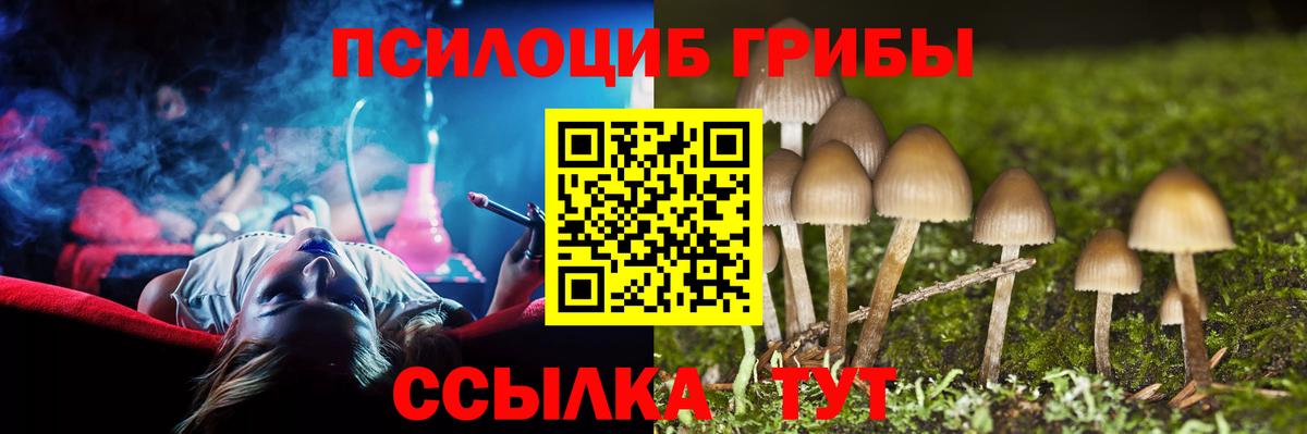 Псилоцибиновые грибы мицелий Ачинск
